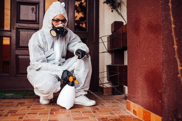 Reliable Bed Bug Control contractor in Richland Hills, TX by Nex Pest Control
