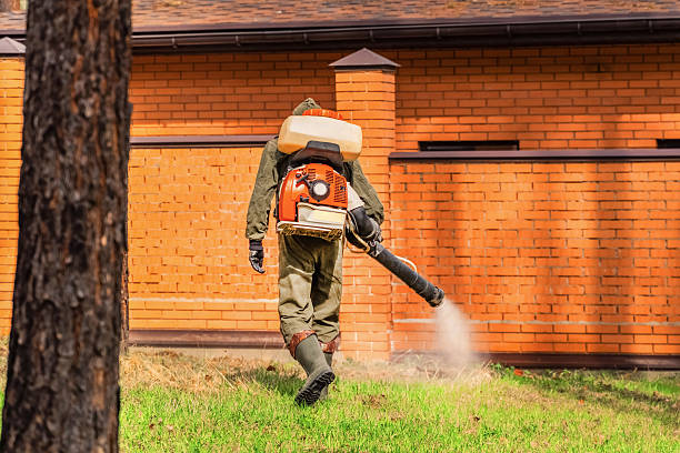 Trusted Ant Control service in Richland Hills, TX - Nex Pest Control